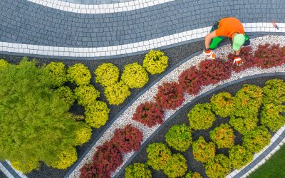 Aerial View of Caucasian Gardener in His 40 Shaping Back Yard Garden Plants Using Cordless Trimmer